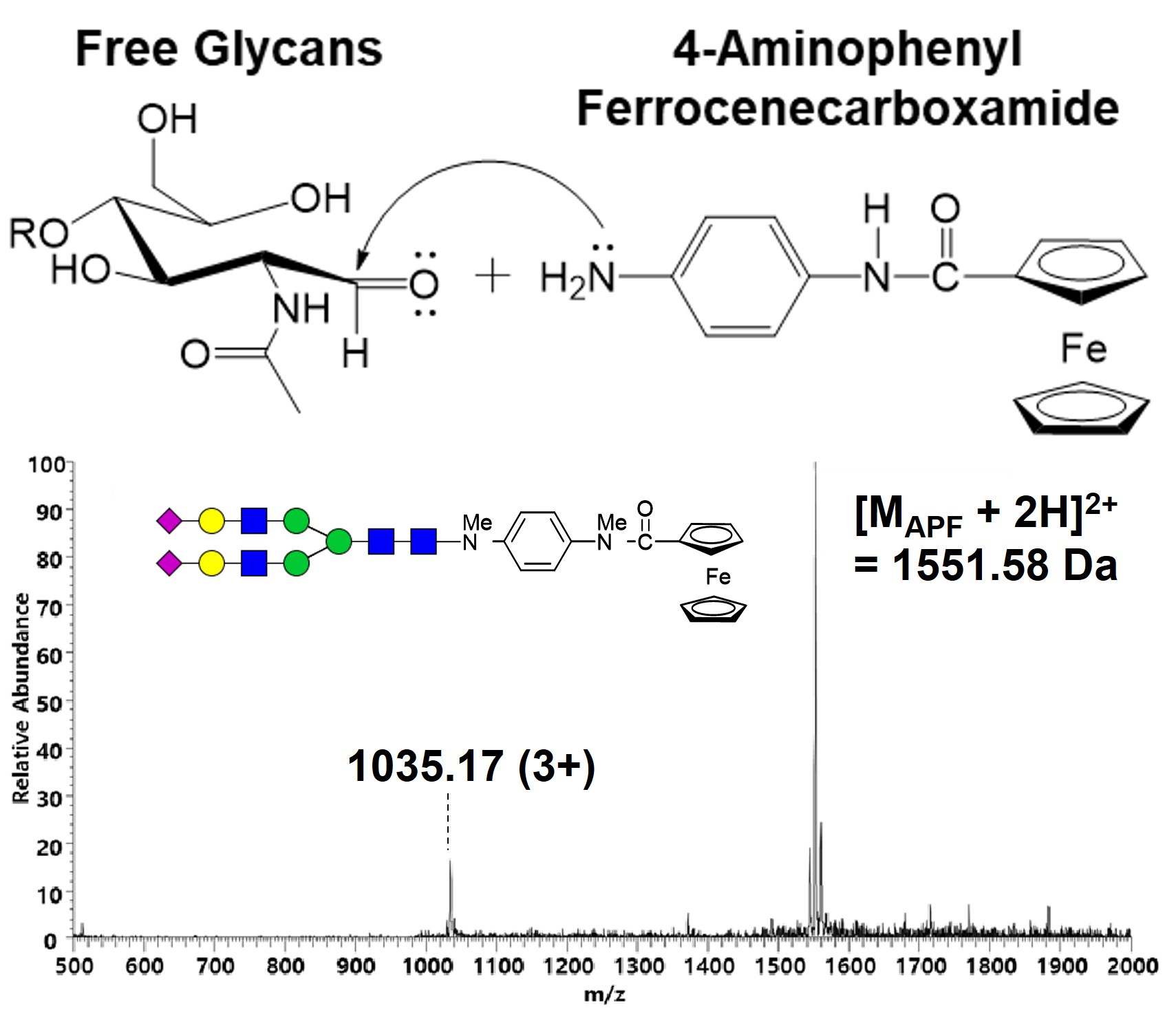 AST-2025-001_R1_P_Graphical Abstract_001.jpg